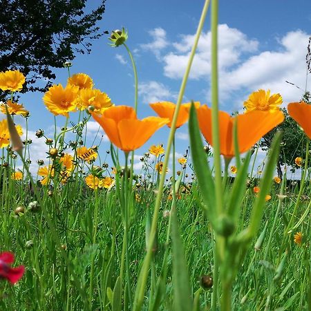 Domaine De Borie Chambres D'Hotes Bretenoux エクステリア 写真