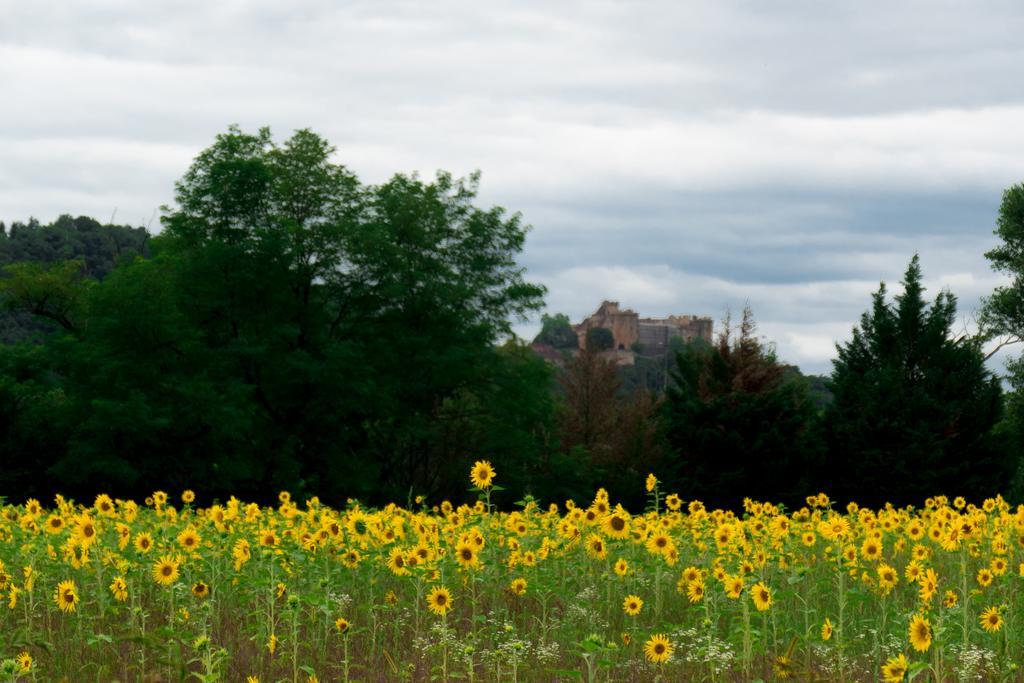 Domaine De Borie Chambres D'Hotes Bretenoux エクステリア 写真